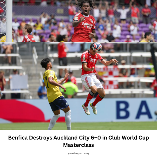 Benfica Destroys Auckland City 6–0 in Club World Cup Masterclass