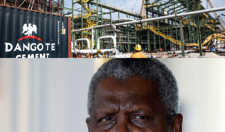 From Lagos to Limitless: Dangote’s Mission to End Africa’s Fertilizer Imports