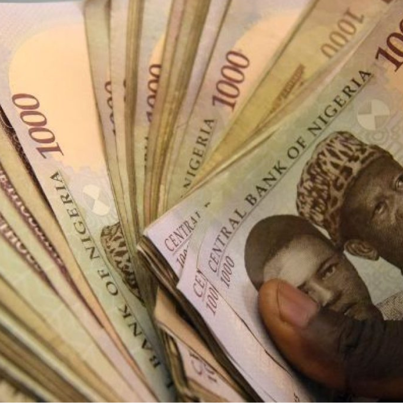 Nigerian naira note